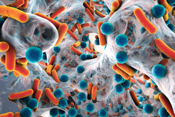Microscopic view of infectious disease molecules